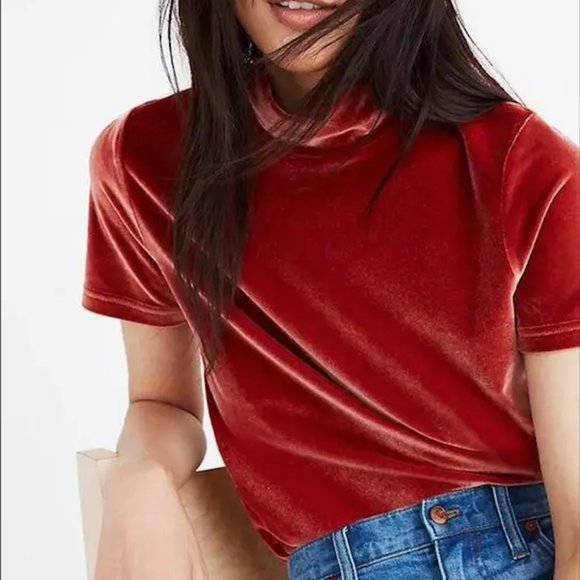 Madewell Velvet Mockneck Tee — Ice Blue, M - Picture 5 of 5